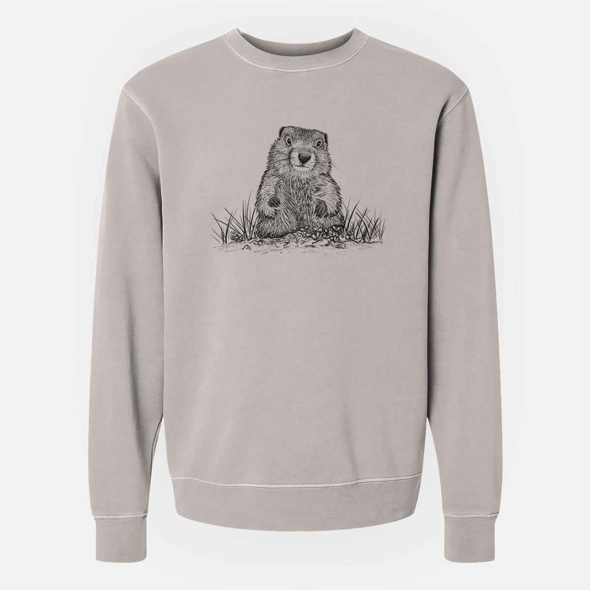 Groundhog - Marmota Monax - Unisex Pigment Dyed Crew Sweatshirt