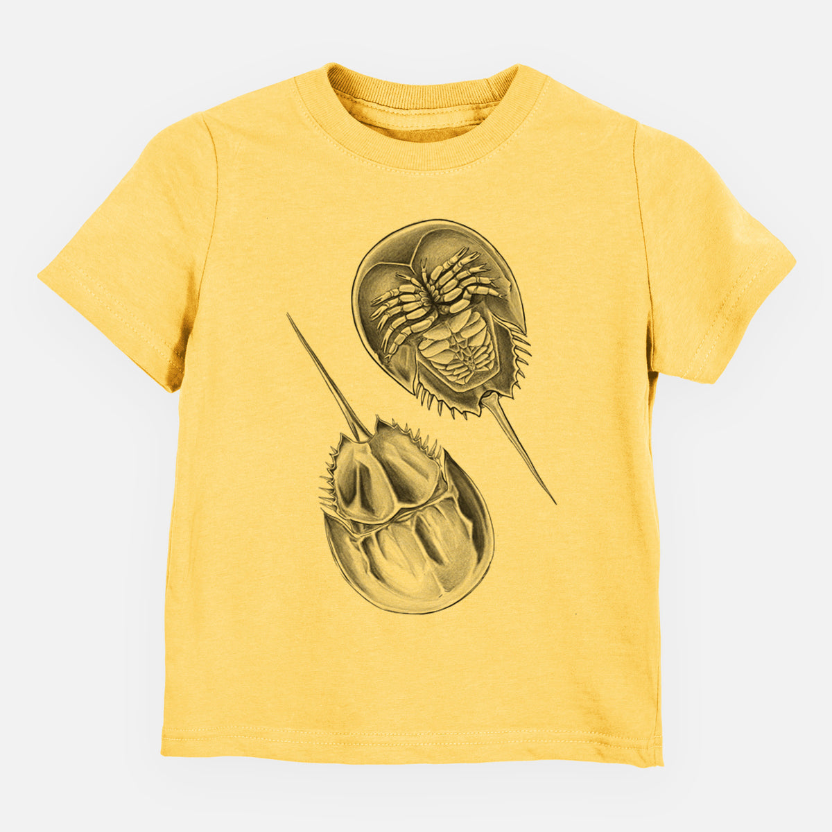 Atlantic Horseshoe Crab - Limulidae polyphemus - Kids Shirt