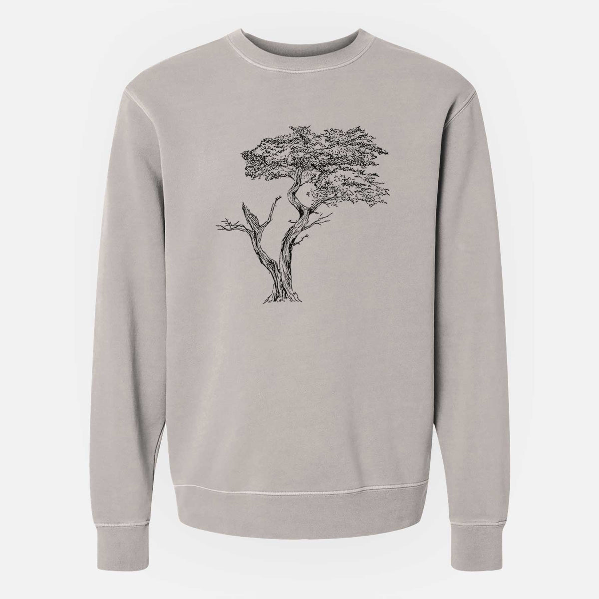 The Lone Cypress - Cupressus Macrocarpa - Monterey Cypress - Unisex Pigment Dyed Crew Sweatshirt