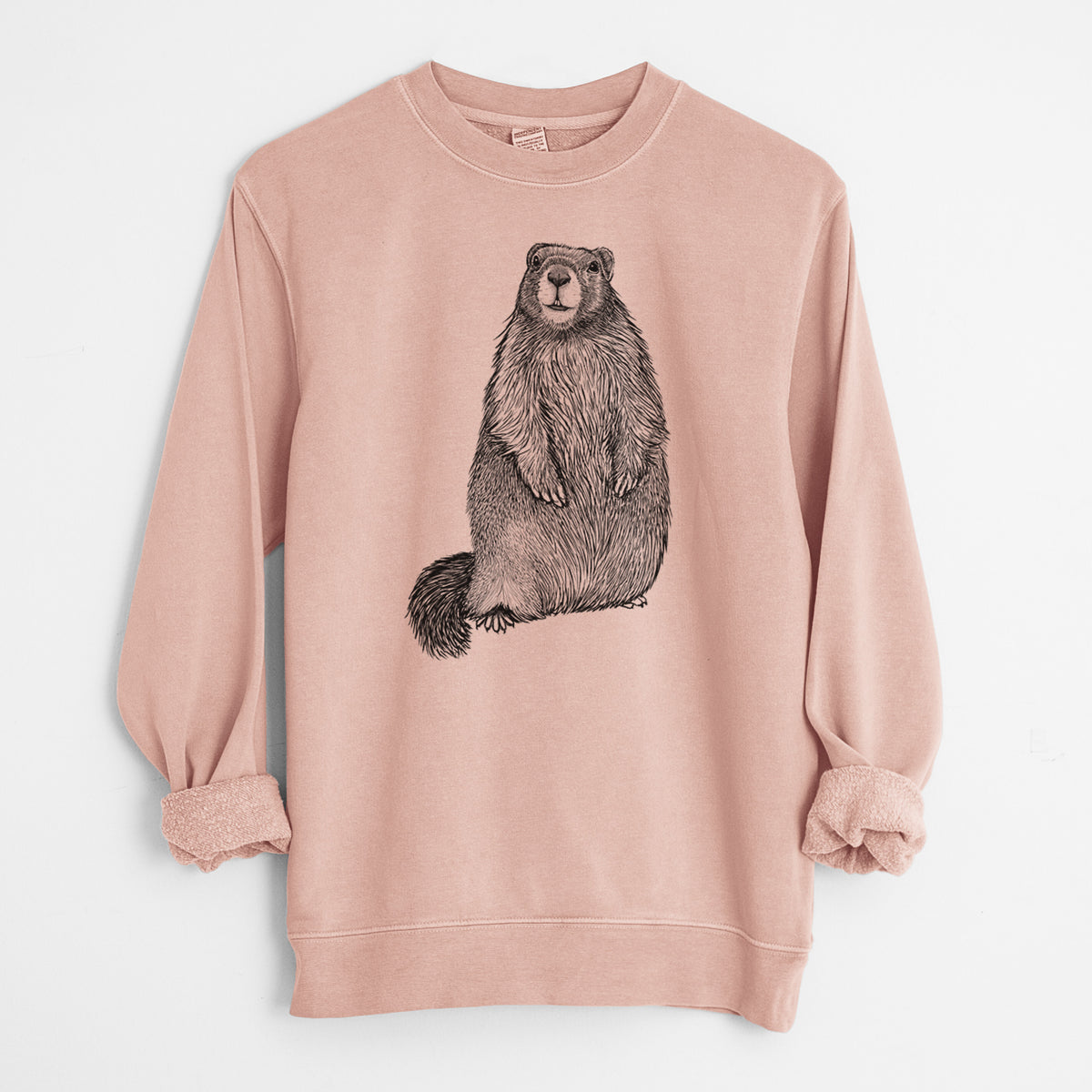 Yellow-bellied Marmot - Marmota flaviventris - Unisex Pigment Dyed Crew Sweatshirt