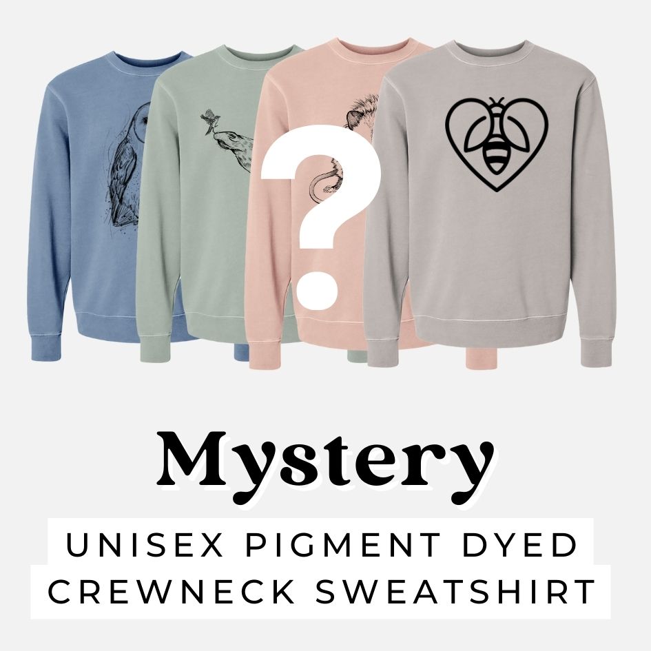 Sweatshirt Mystery Grab Bag