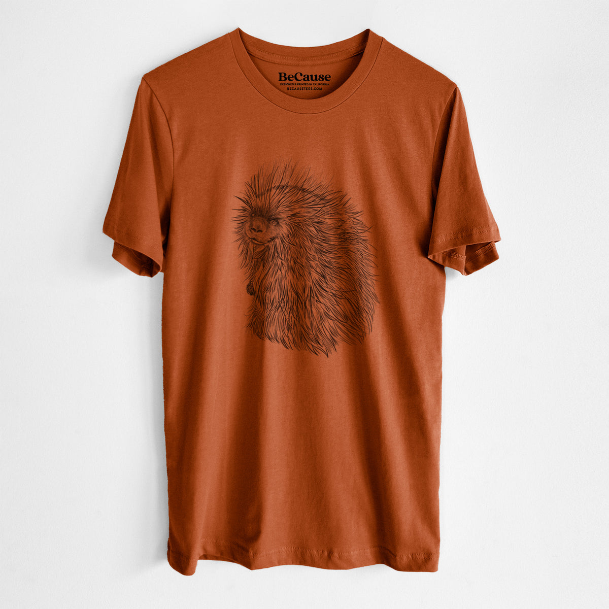 North American Porcupine - Erethizon dorsatum - Lightweight 100% Cotton Unisex Crewneck