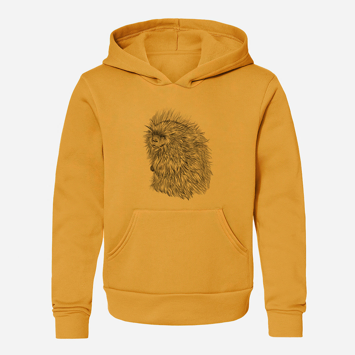 North American Porcupine - Erethizon dorsatum - Youth Hoodie Sweatshirt