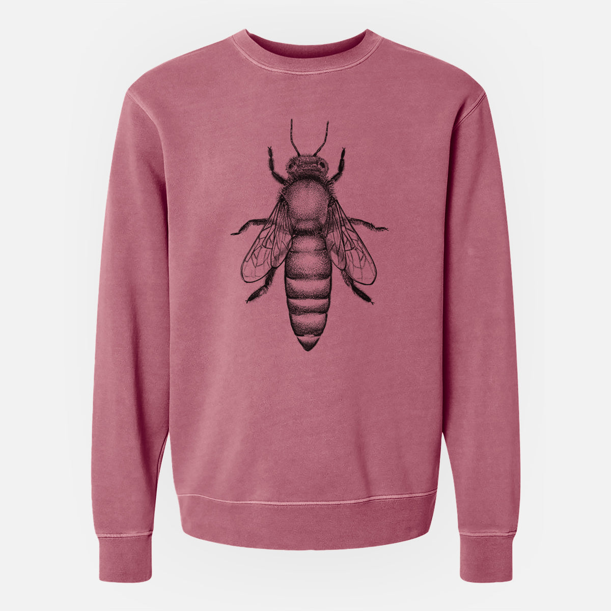 Queen Bee Apis Mellifera - Unisex Pigment Dyed Crew Sweatshirt