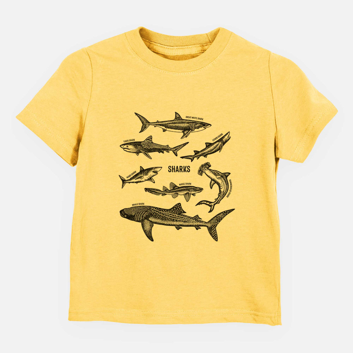 Shark Chart - Kids Shirt
