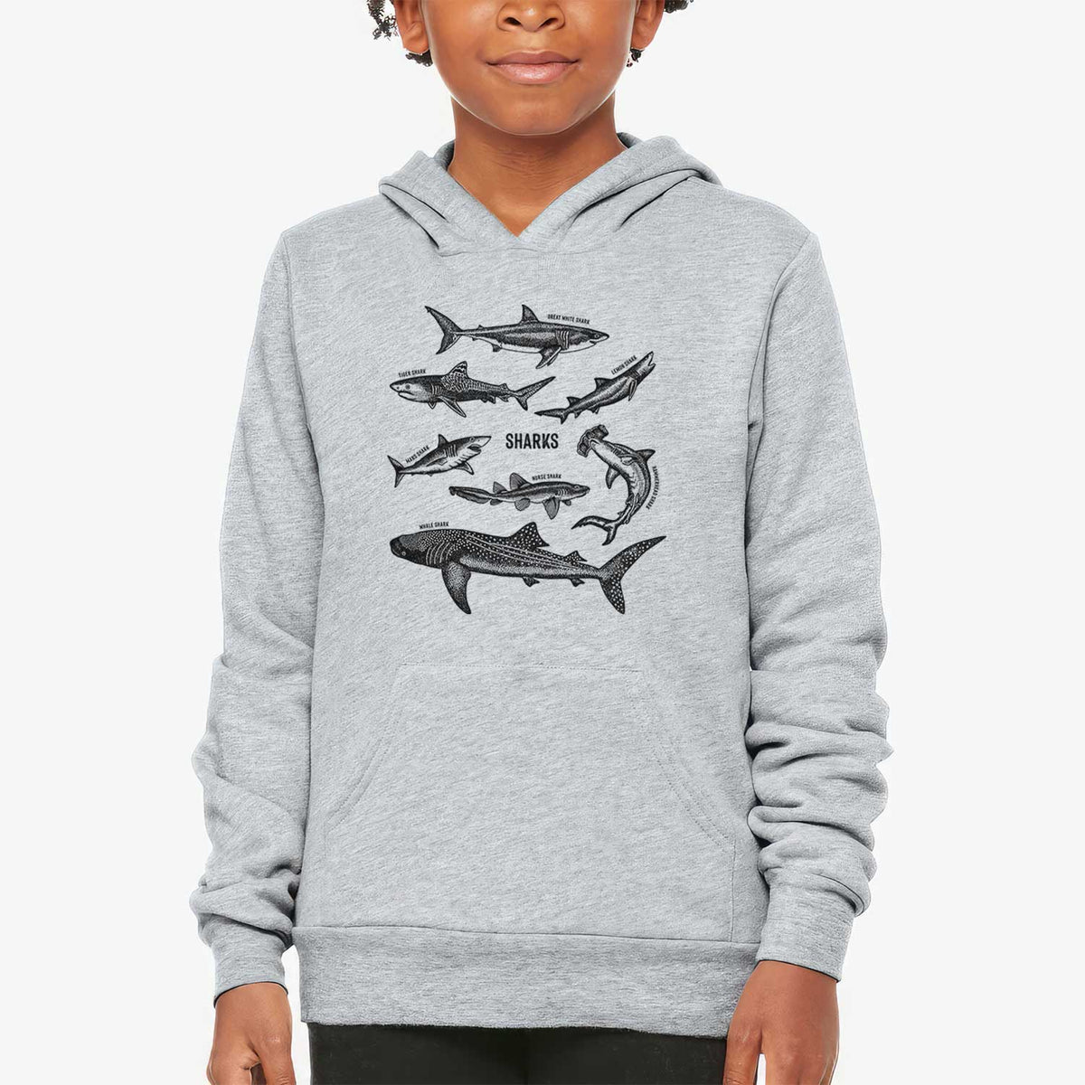 Shark Chart - Youth Hoodie Sweatshirt