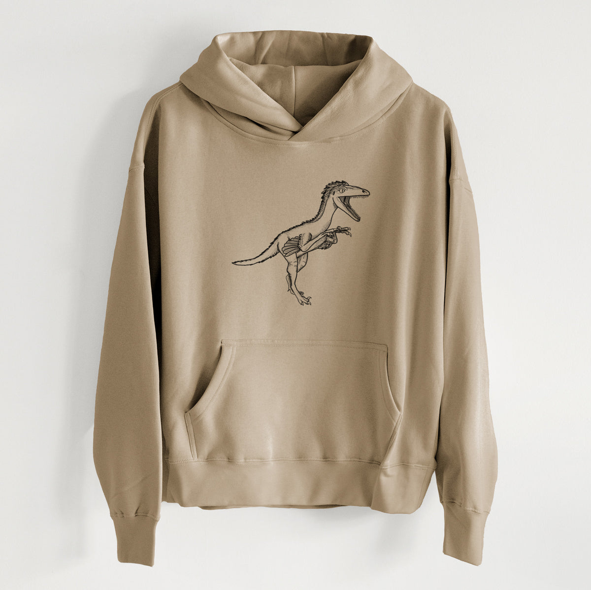 Troodon Formosus - Women&#39;s Heavyweight Relaxed Hoodie