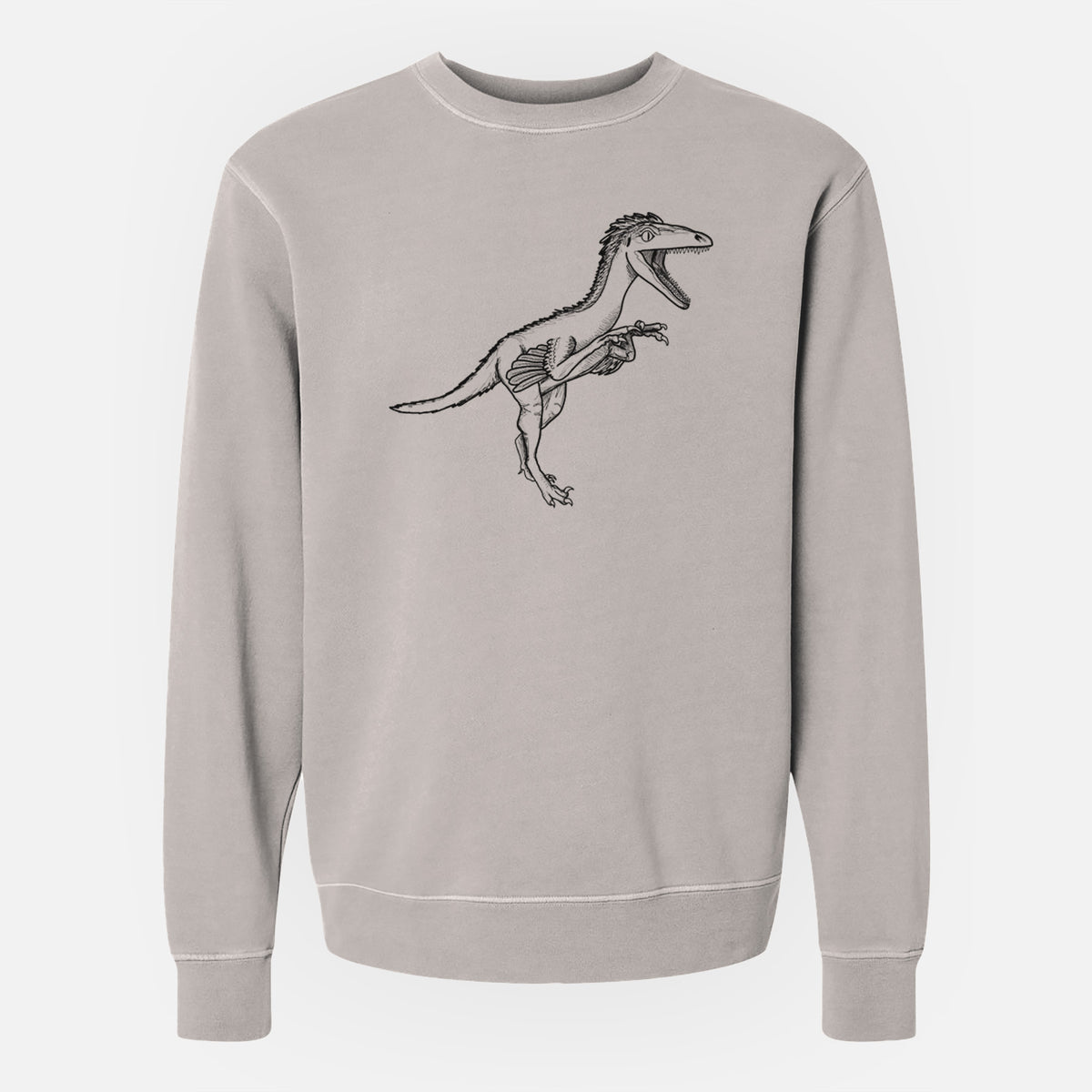 Troodon Formosus - Unisex Pigment Dyed Crew Sweatshirt