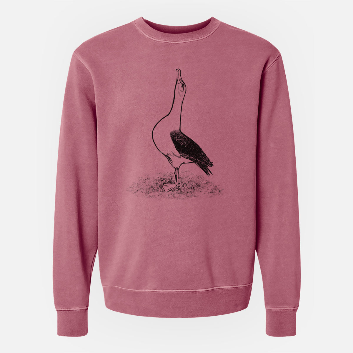 Diomedea exulans - Wandering Albatross - Unisex Pigment Dyed Crew Sweatshirt