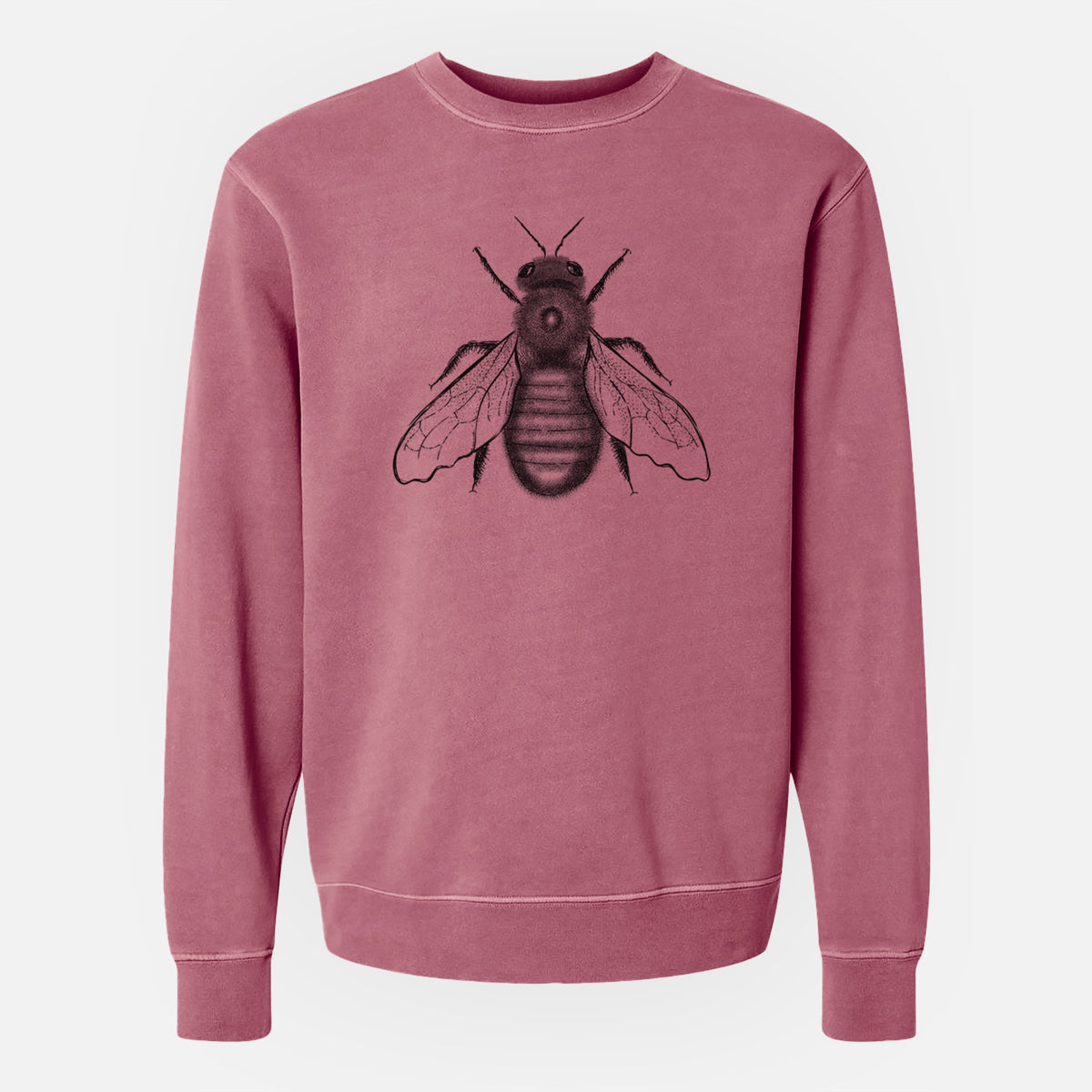Xylocopa Virginica - Carpenter Bee - Unisex Pigment Dyed Crew Sweatshirt
